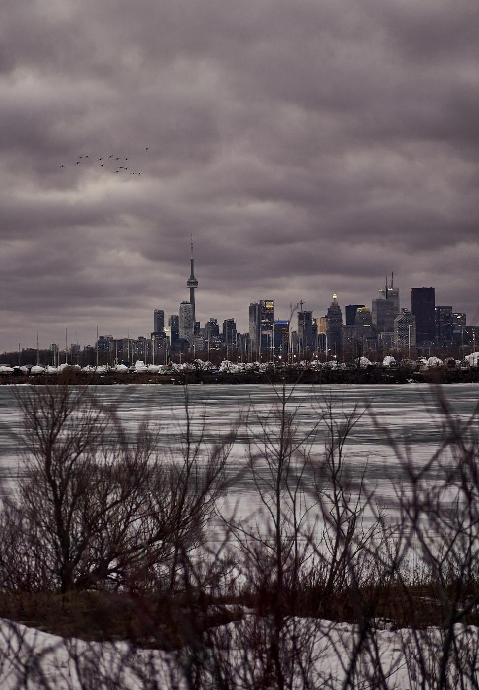 Toronto Skyline